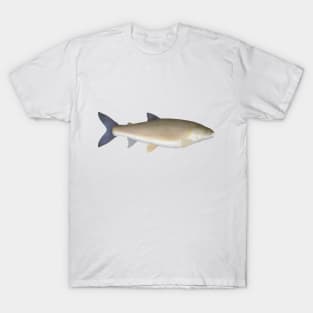 Round Whitefish T-Shirt